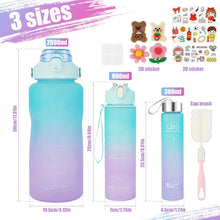 Load image into Gallery viewer, 3 Pcs Sports Water Bottle

